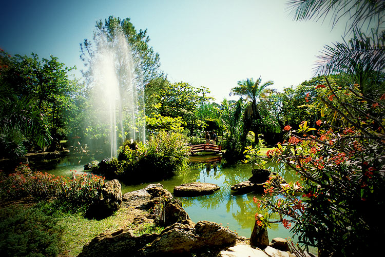 Jardim-Japon%C3%AAs-3.jpg
