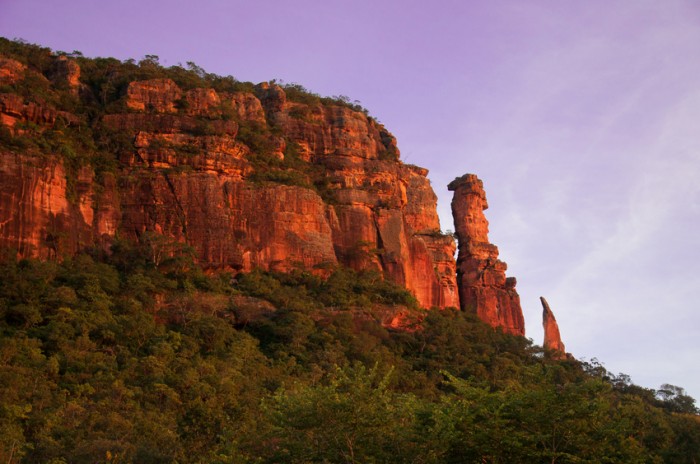 Location: Serra do Roncador, Barra do Gar?as, Mato Grosso, Brasil