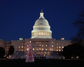 The United States Capitol building with Christmas tree in the foreground.