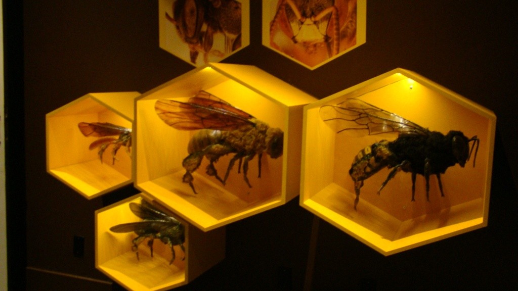ib_replicas-de-quatro-abelhas-sem-ferrao