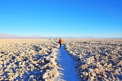 Pelos caminhos de sal do Salar de Atacama | foto: Lala Rebelo