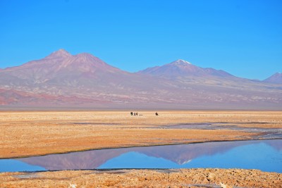 Salar de Atacama | foto: Lala Rebelo