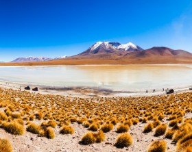 Aerial view of Laguna Canapa, it is a salt lake in the altiplano of Bolivia