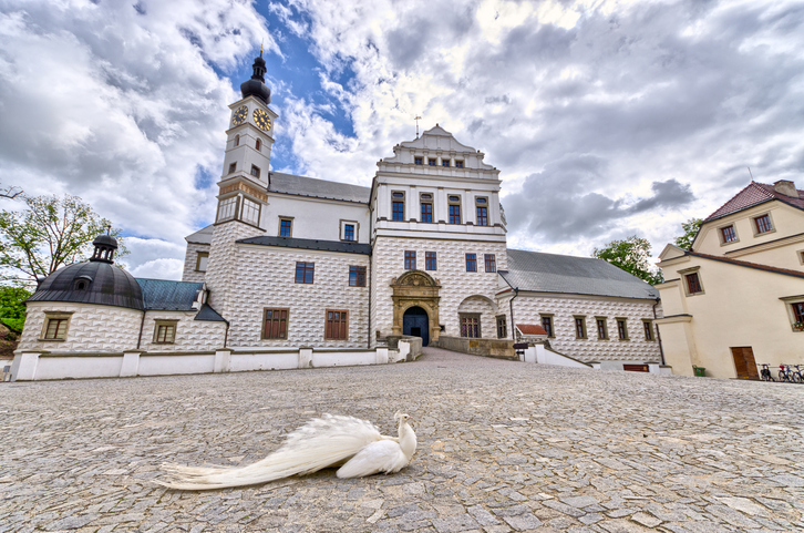 Palace with white peacock in Pardubice, Czech Republic