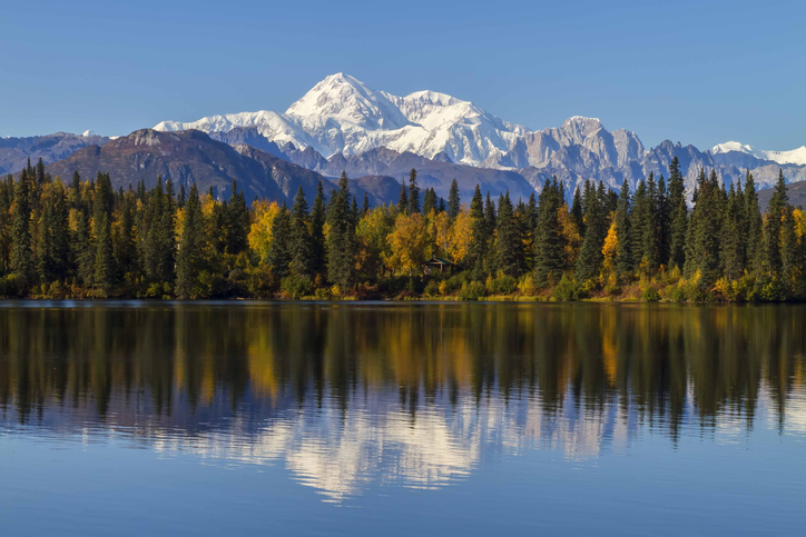 Byers Lake, Alaska is the closest view to Mount McKinley without being on the mountain.  During the fall color change in September this area explodes with yellow as the tree's change and prepare for winter's arrival.  Mount McKinley is North America's tallest mountain at 20,320'.