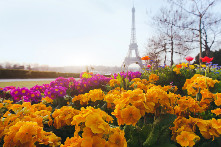 Foto por Istock/ anyaberkut 