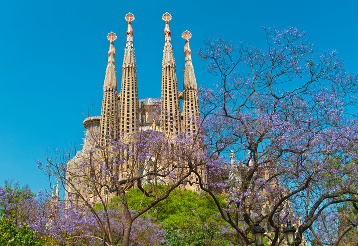 Foto por Istock/ AygulSarvarova 