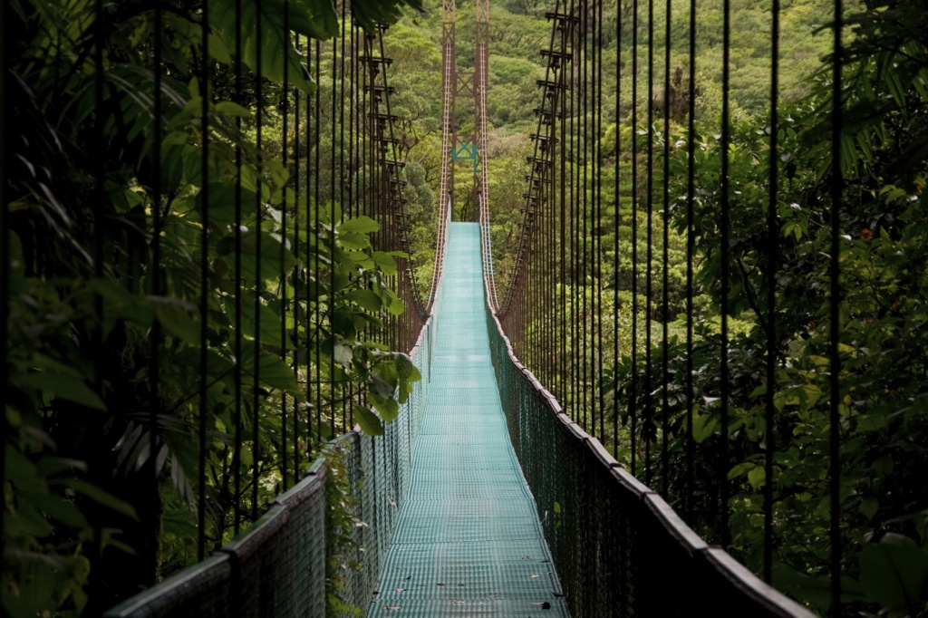 Ponte na Selva Costa Riquenha