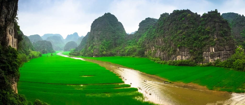 Plantação de arroz em NinhBinh. Foto por cristaltran / iStock