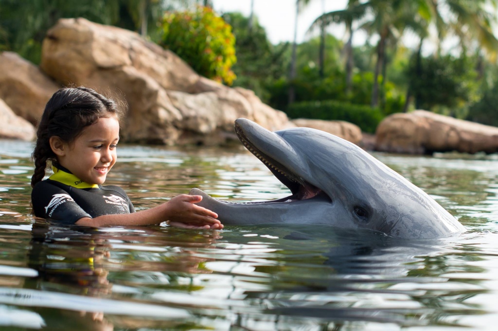 discovery cove