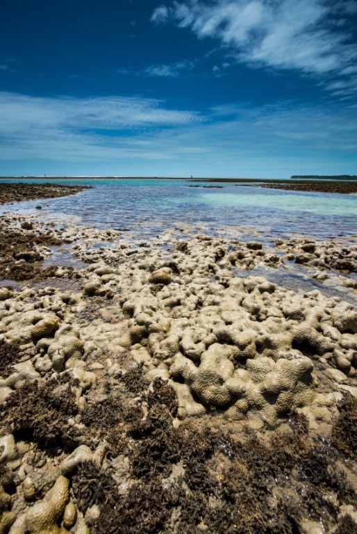 Boipeba  Foto por Martinelli73 via Istock 