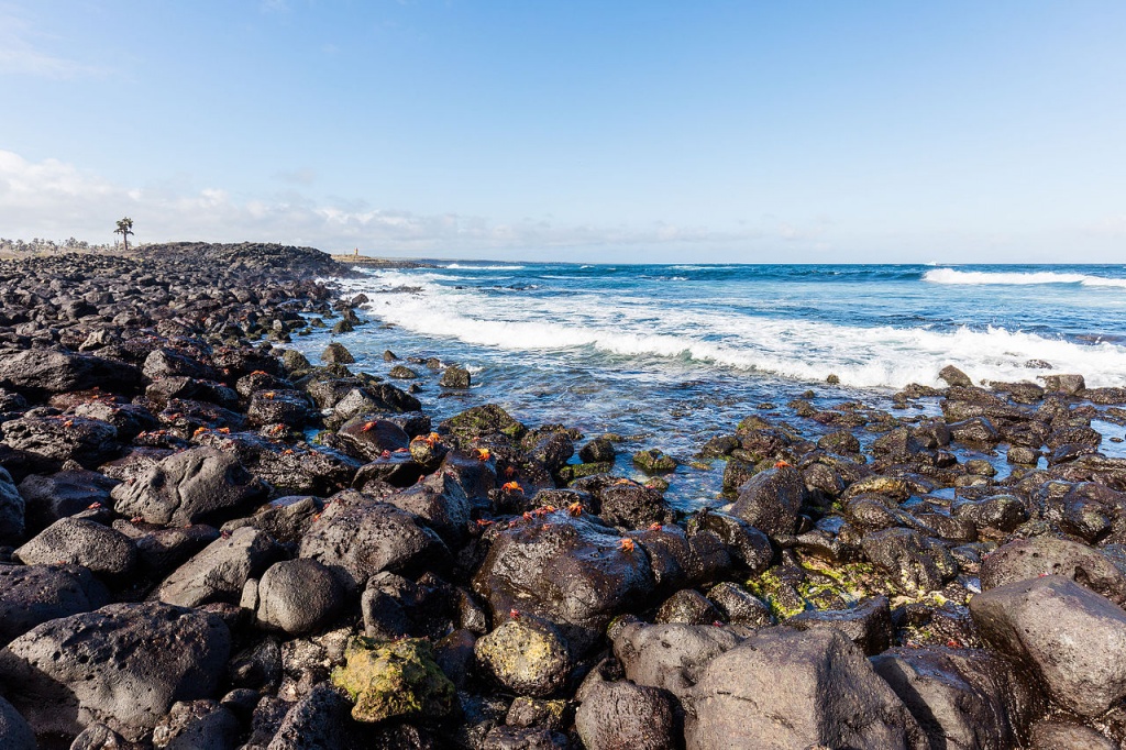 Costa_de_isla_Santa_Cruz,_islas_Galápagos,_Ecuador,_2015-07-26,_DD_50