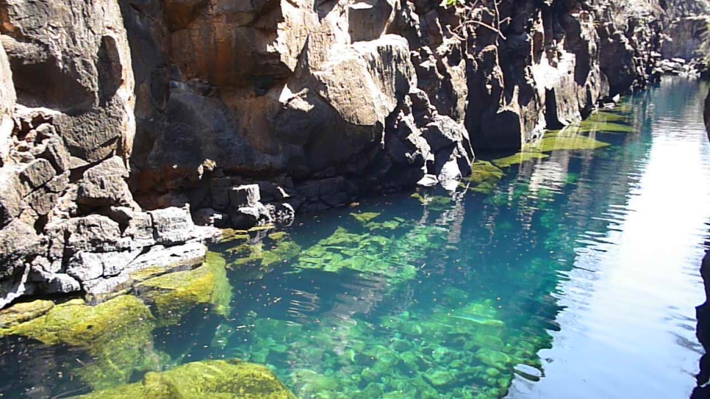 Fresh_Water_Swimming_in_the_Galapagos_on_the_Island_of_Santa_Cruz