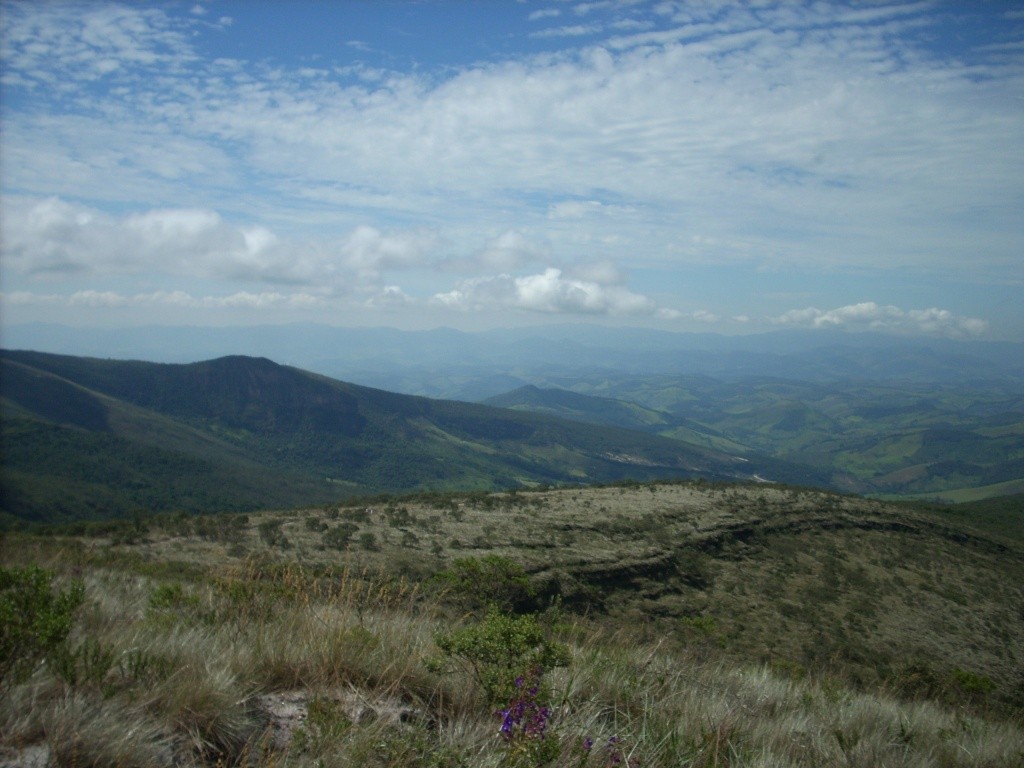 Foto por: Carlos d'Andréa via Wikipédia