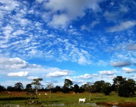 Pantanal004 - Foto Andressa Volpini