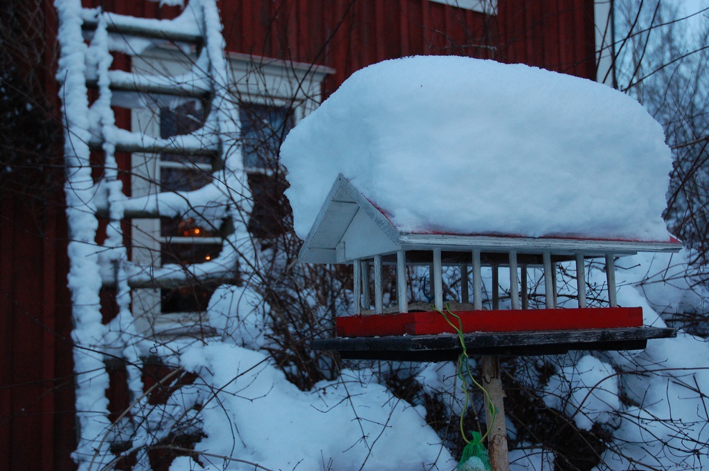 finlandia casa coberta de neve jonas forth