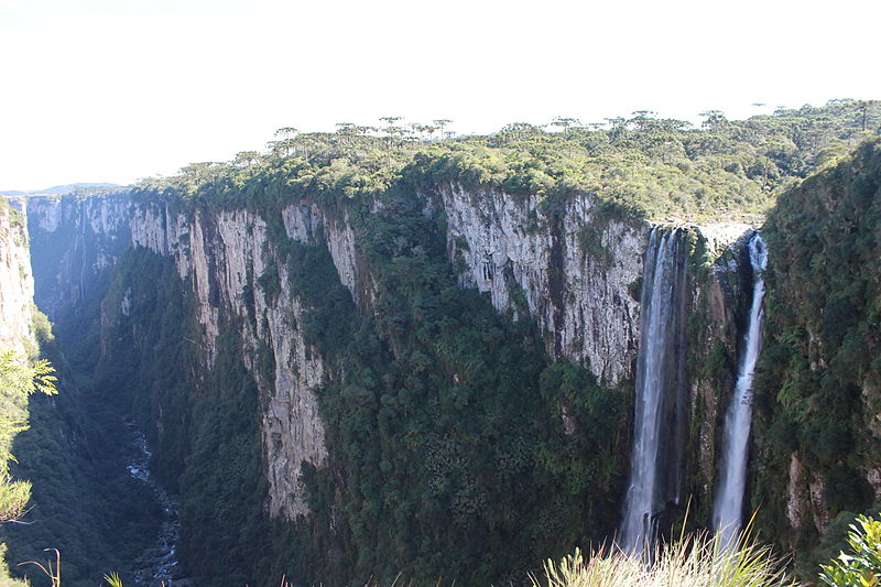 Foto por Everson José de Freitas Pereira via Commons Wikimedia