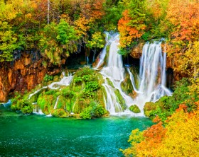 Waterfall in Autumn Forest