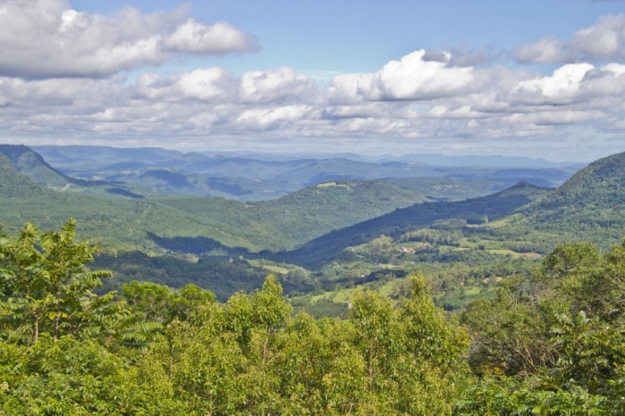 Valley view with mountain covered by forest. Cloudy day with shadows over forest.