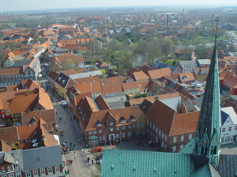 Ribe, from above