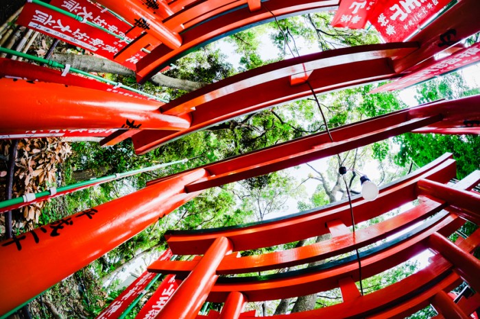 Tokyo, Japan - May 30, 2014: Torii gates from a Japanese temple. In Shinto religion Torii gates signify entrance to pure land of shrines.