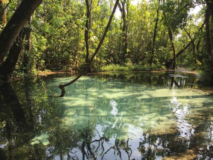 nascente da areia, criando uma espécie de areia movediça. - Picture of Areia  que Canta, Brotas - Tripadvisor