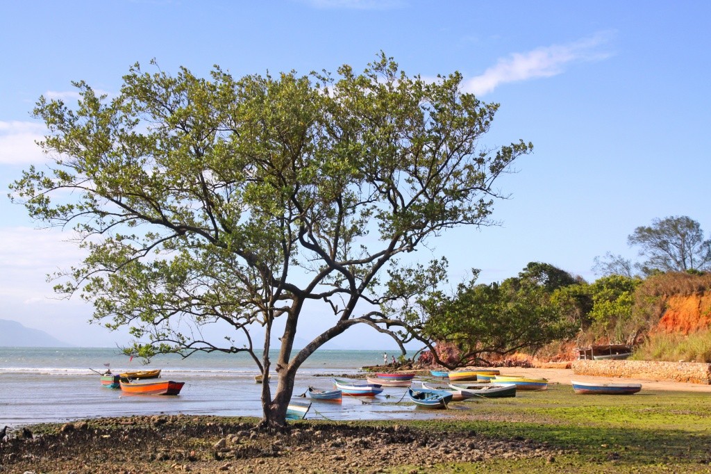 praia-gorda-rasa-buzios-foto-ronald-pantoja