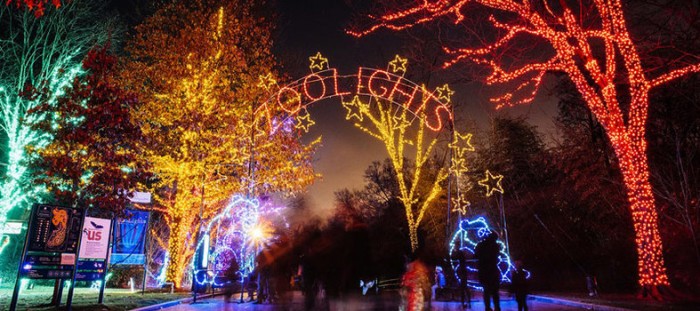 zoolights-time-lapse-entrance_credit-national-zoo