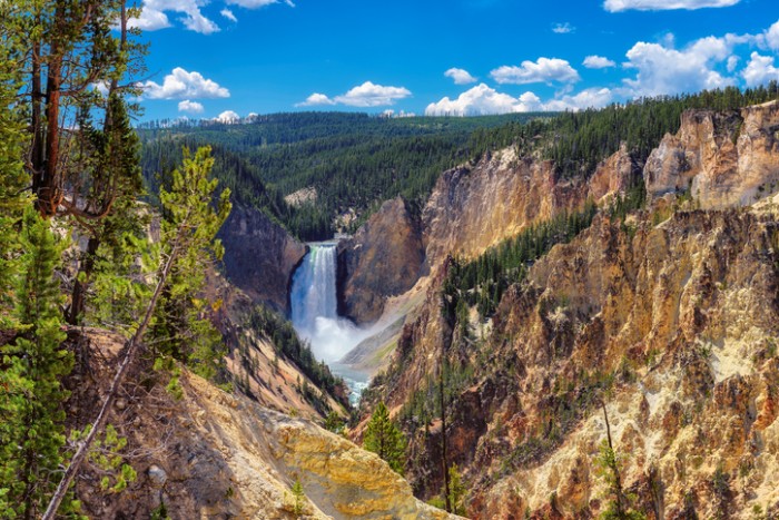 Lower Falls, Grand Canyon of the Yellowstone National Park