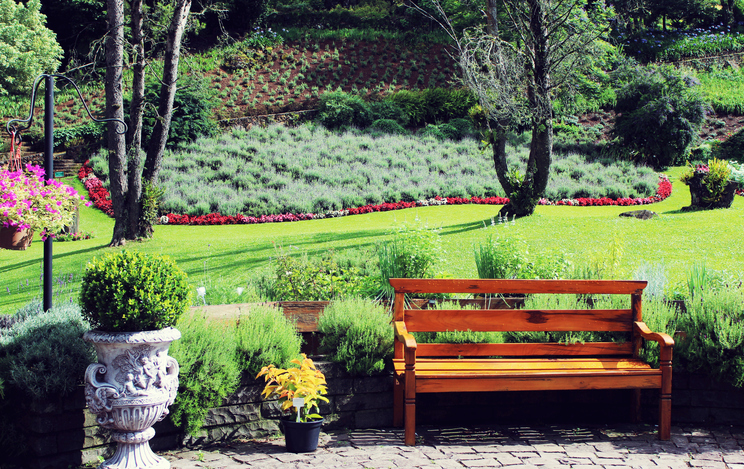 Lavender Garden, Gramado, South of Brazil - December 18, 2014: A wooden bench in the garden.