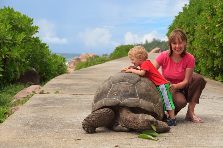 Mother and baby playing with giant turtle in Seychelles