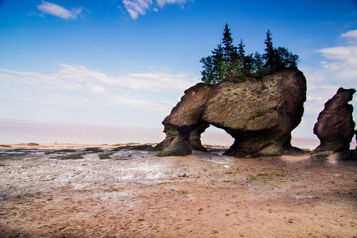 Nova Praia Fluvial Na Baía Do Fundy No Canadá Com Terreno