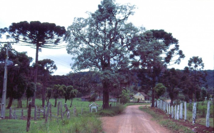 Foto por Iolita Cunha / SANTUR