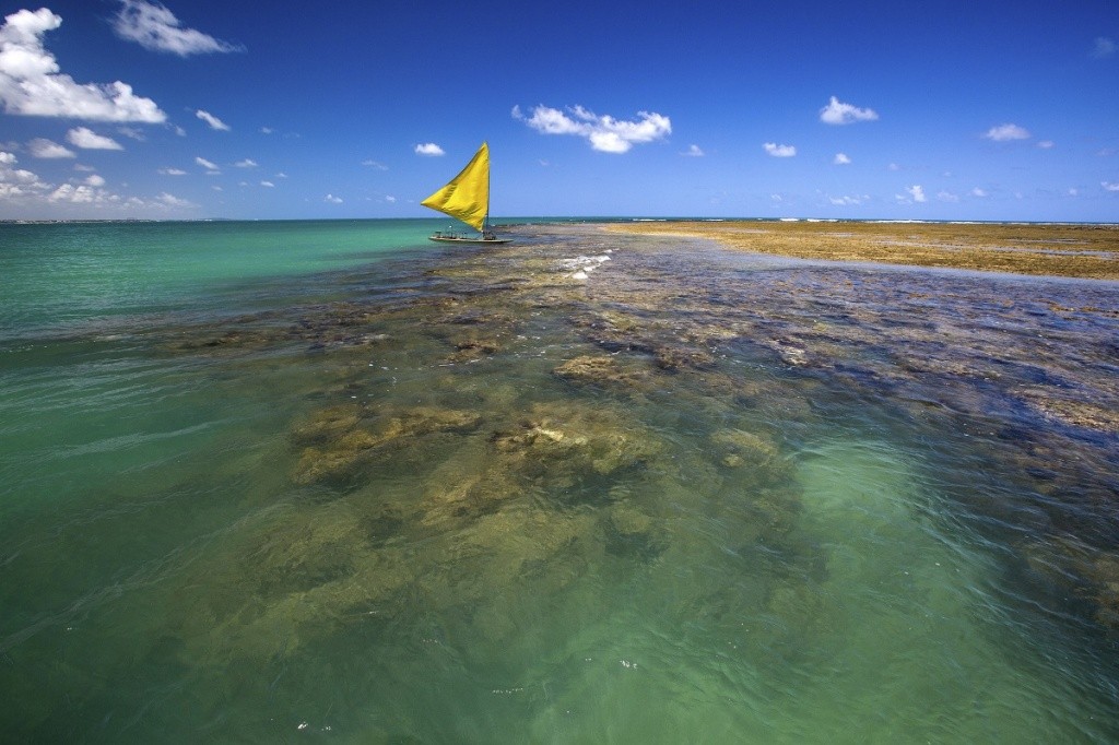 portodegalinhas_istock_000070841889_xxxlarge-mm