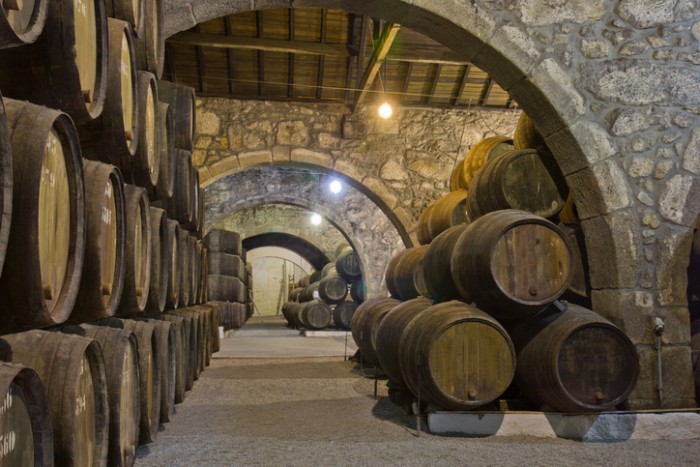 old cellar with rows of wooden wine barrels