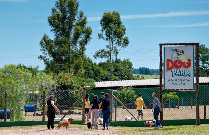 Foto por Divulgação