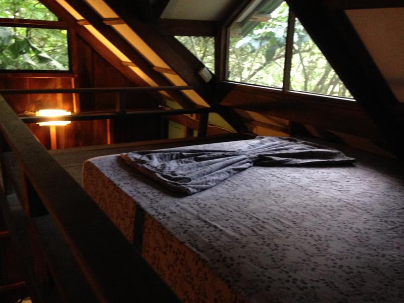 http://www.brazilian.hostelworld.com/hosteldetails.php/Luz-en-el-Cielo-Eco-B-and-B-Hostel/Montezuma/50633
