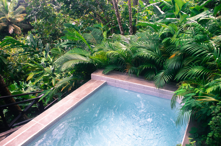 pool in lush green vegetation environmentally friendy setting