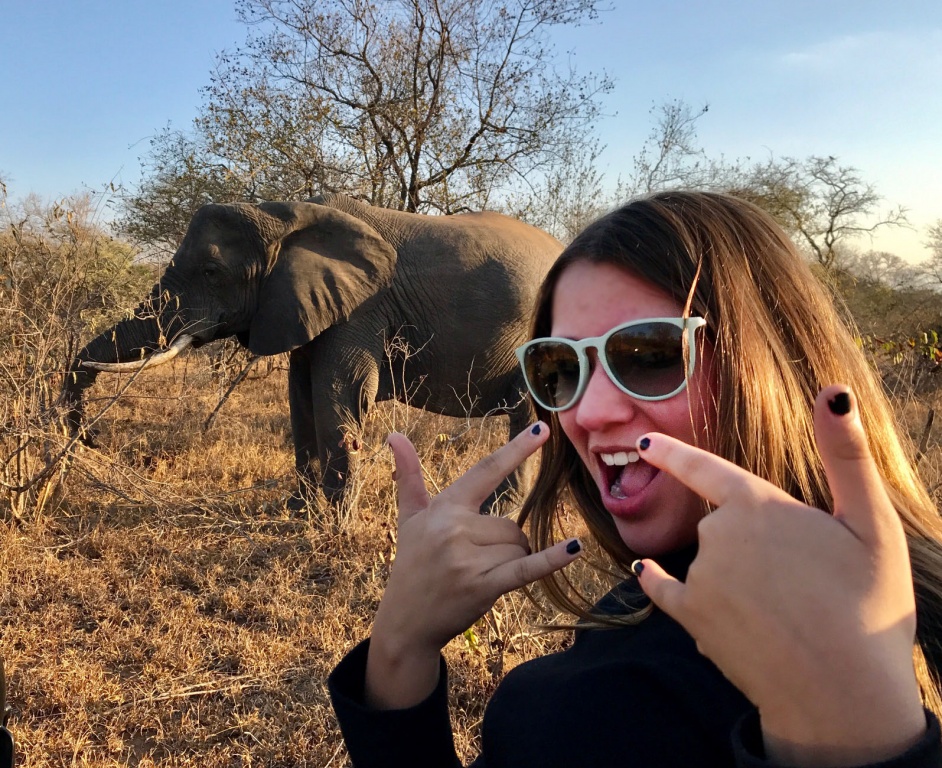 Elefantes de pertinho no Safári na África do Sul