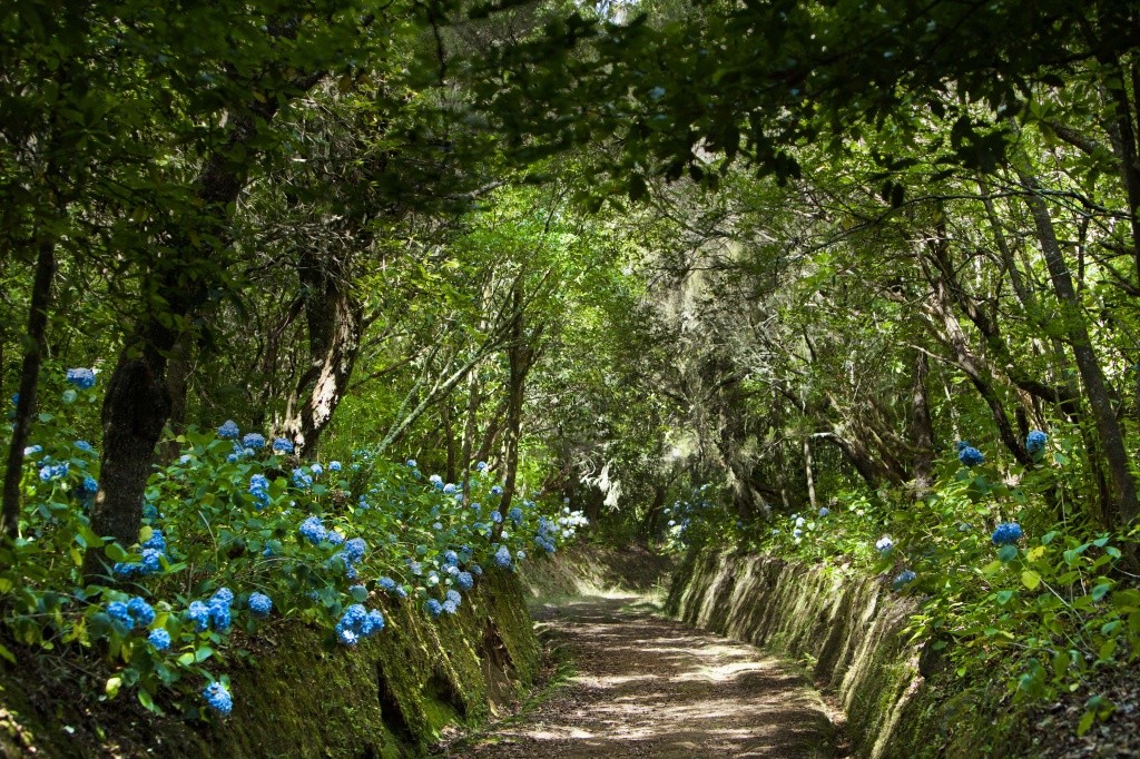 levada-do-caldeirao-verde_credito-tiago-sousa_desenquadrado