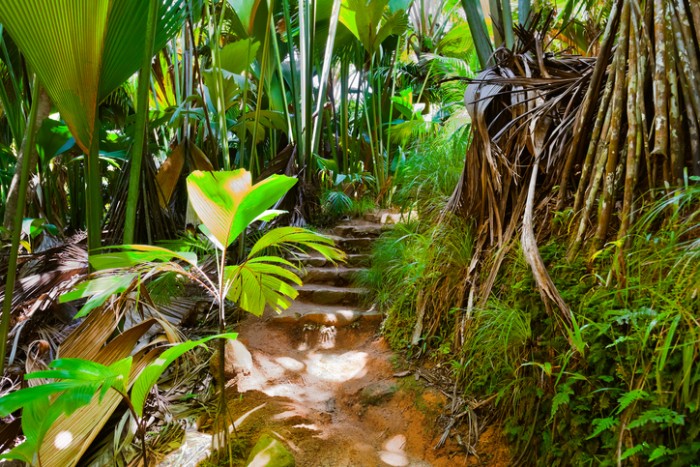 Foto por iStock / TPopova