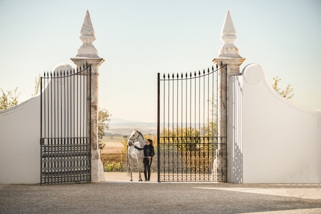 Dicas de viagem pelo Alentejo em Portugal