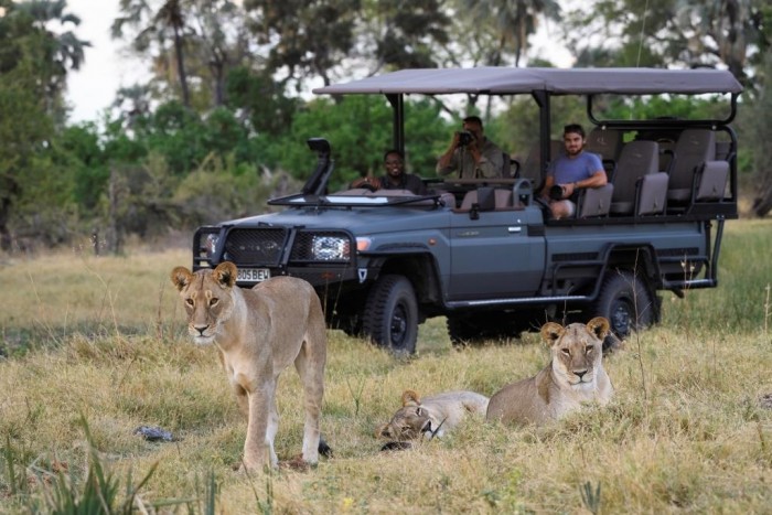 Foto por Divulgação / (c) Dana Allen / Wilderness Safaris