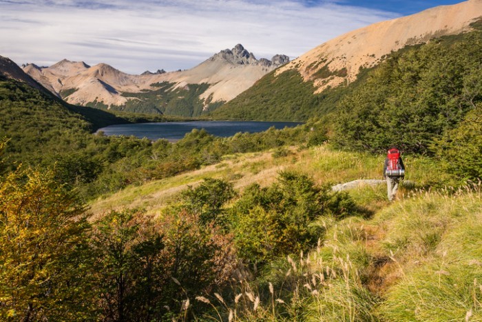 Foto por iStock / Agustina Camilion