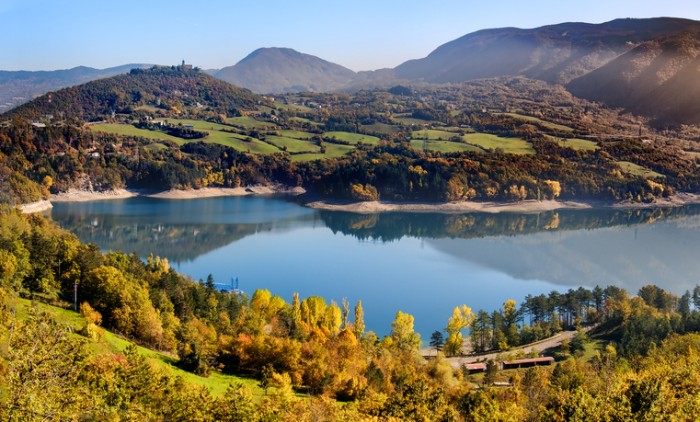 Foto por iStock / LucaLorenzelli