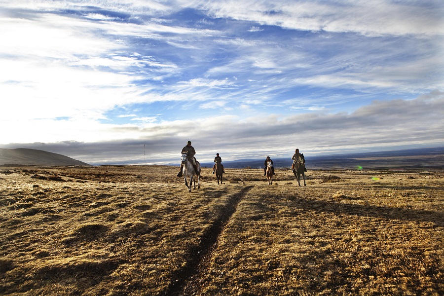 tierra-patagonia-cavalos