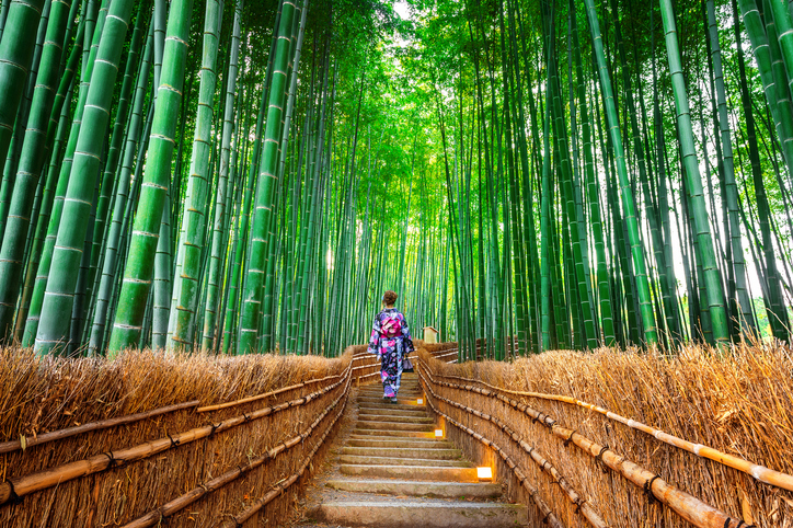 Arashiyama: florestas de bambu, templos e vilas históricas | Qual ...