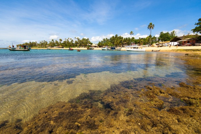 Foto por iStock / vtupinamba