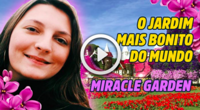 Vídeo Miracle Garden