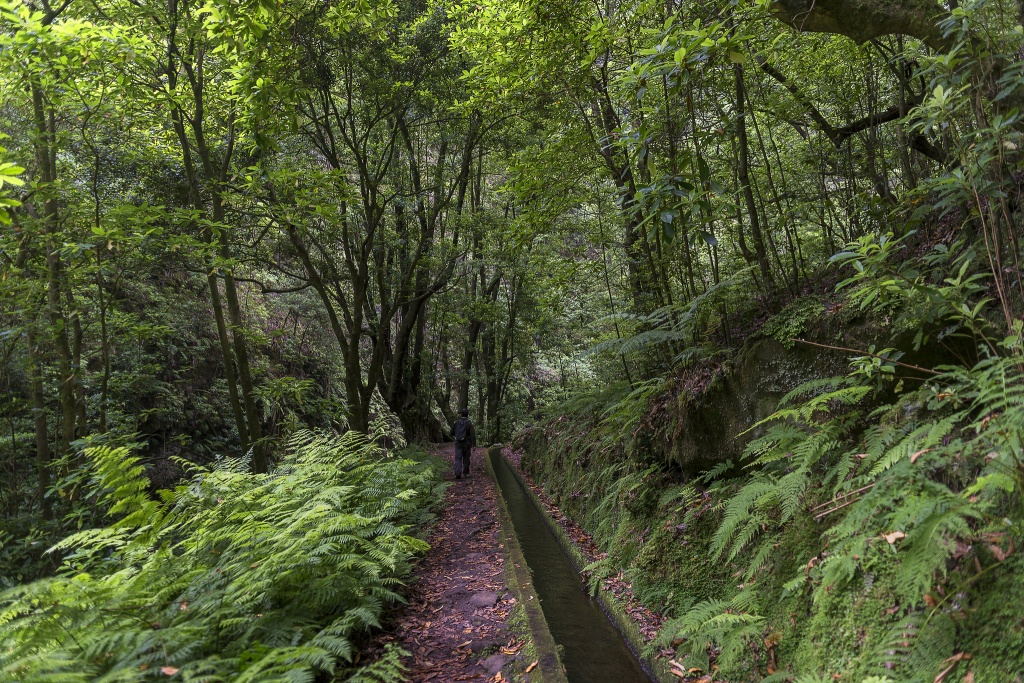 Foto por Francisco Correia / Turismo da Madeira